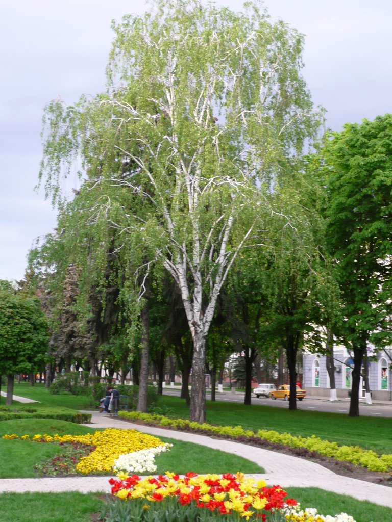 Весенний Краснодар.