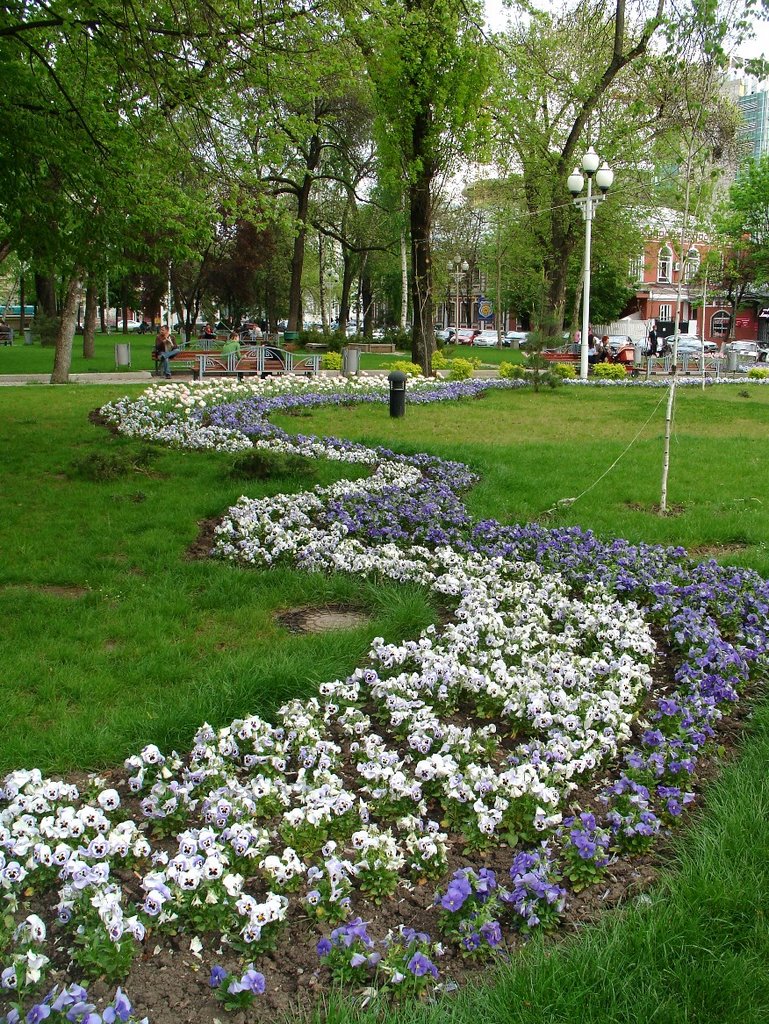 Клумба