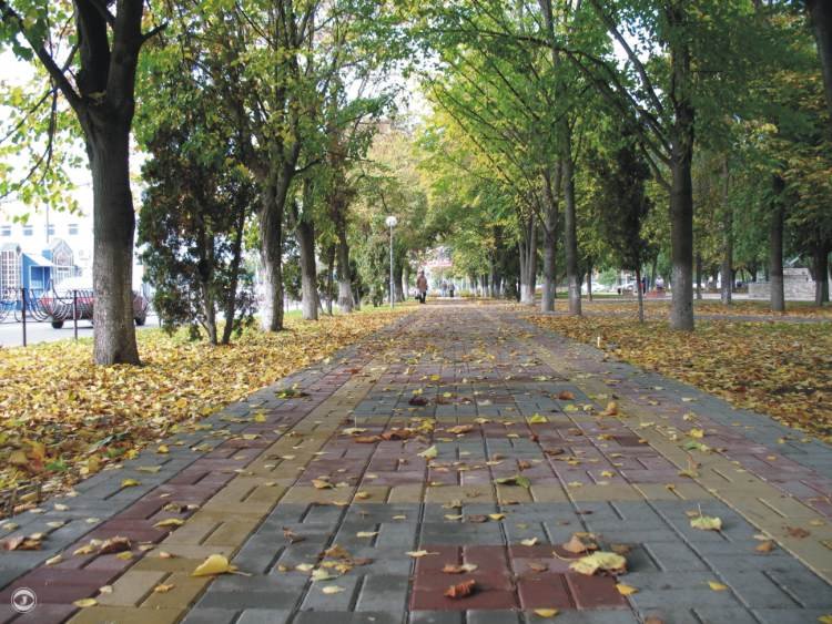 Сквер на Ворошилова. http://kropotkin23.ru/