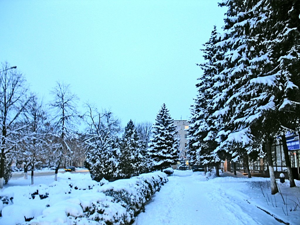 январь 2009