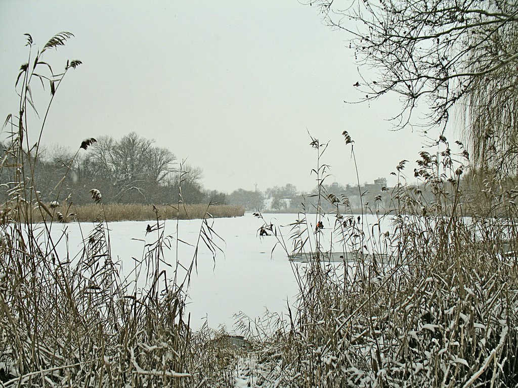 городской пляж. 3 января 2009