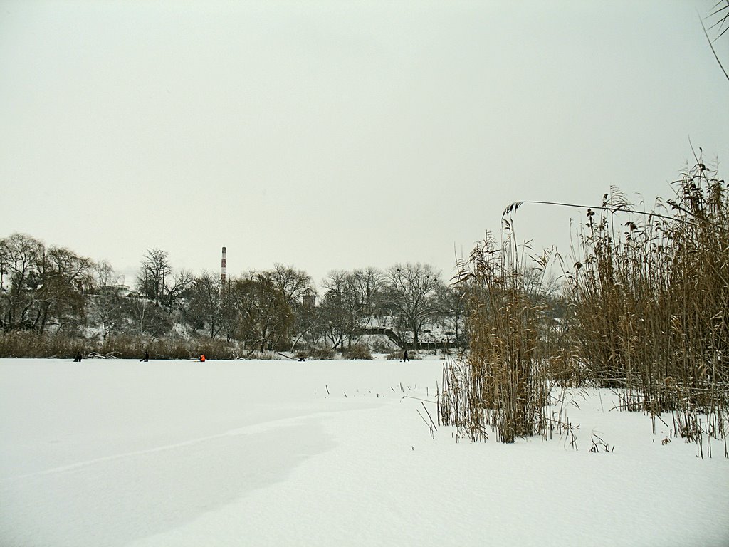 городской пляж. Январь 2009
