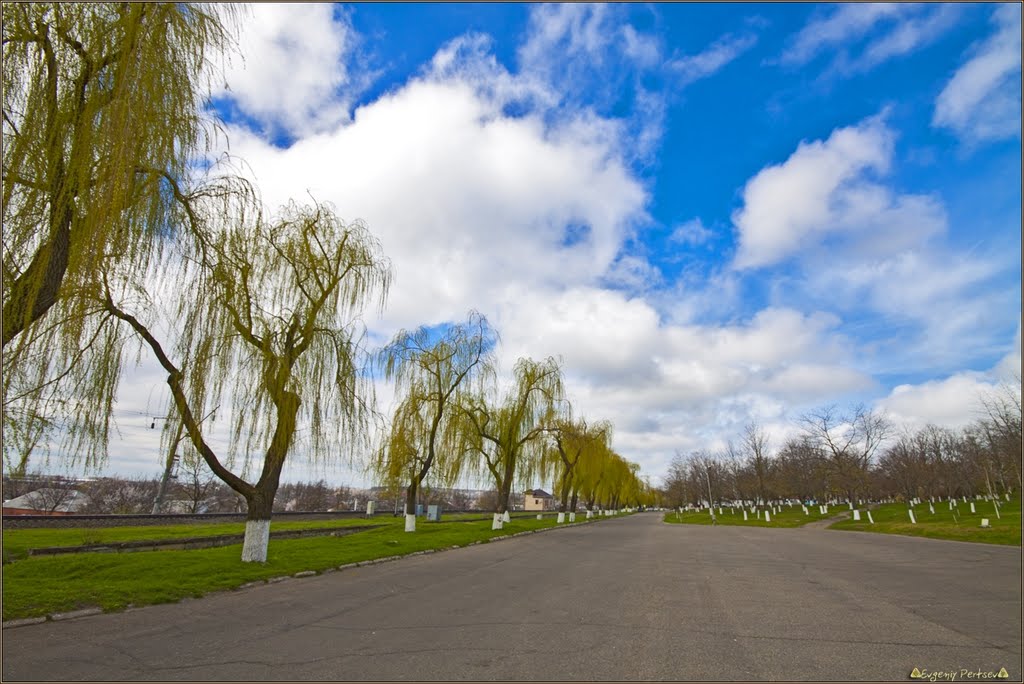 Ивовая аллея... - Willow Alley...