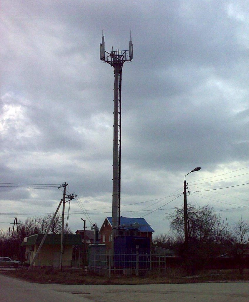 БС Билайн