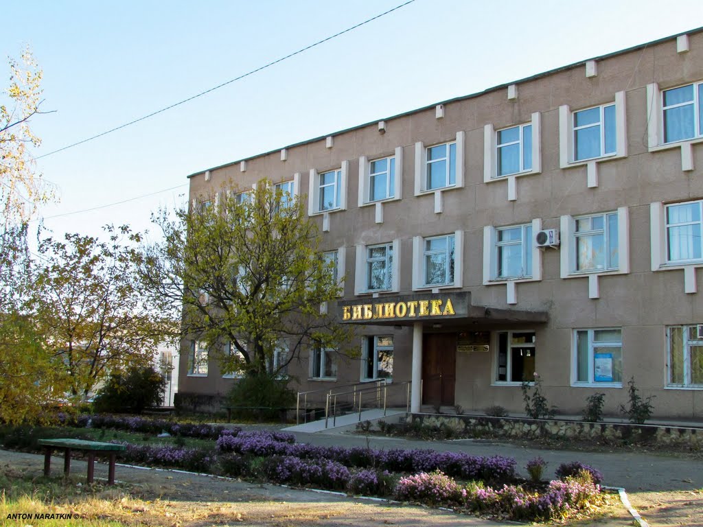 Библиотека