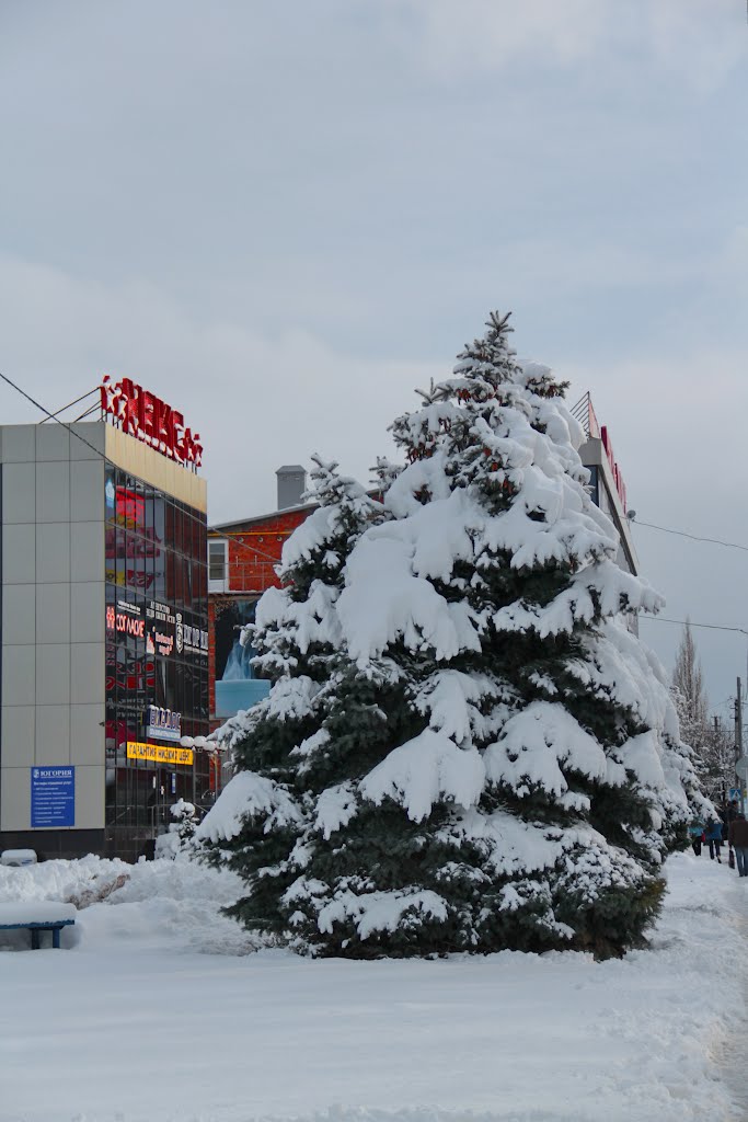Сити Парк
