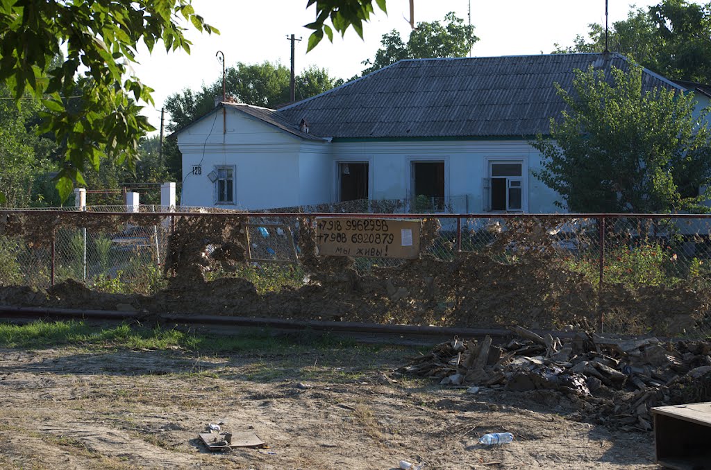 "Мы живы". После потопа 2012