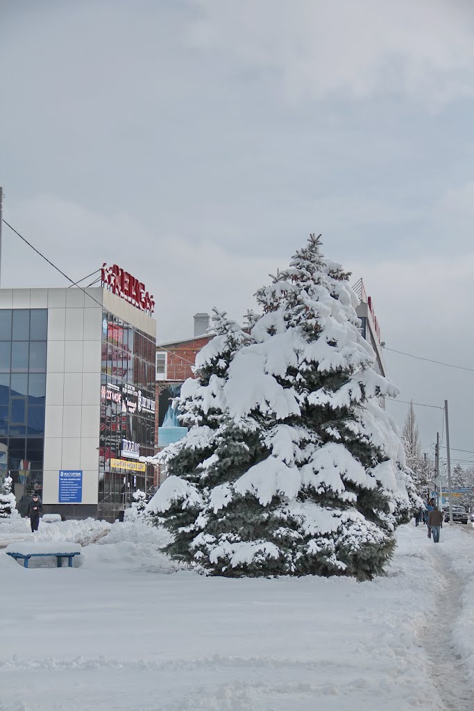 2012 г., Крымск, KRYMSK