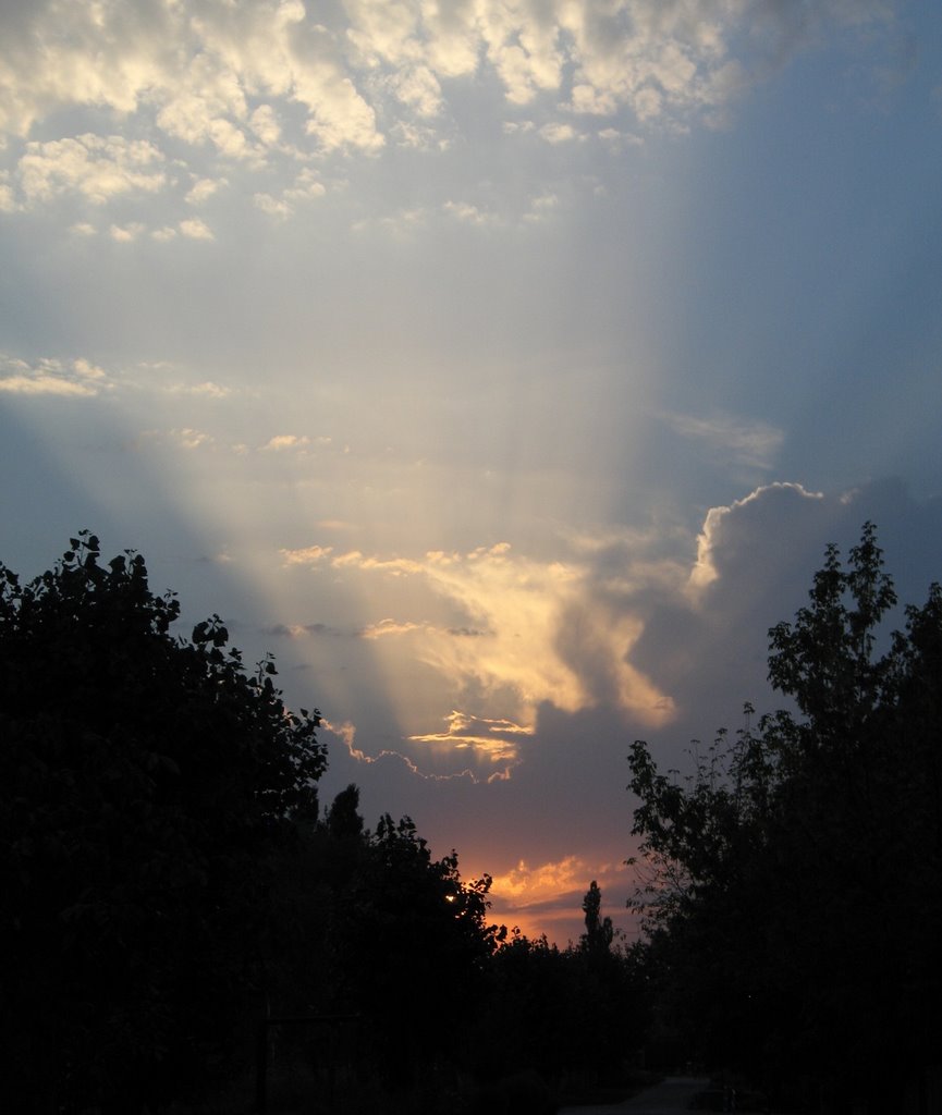 Sunrays