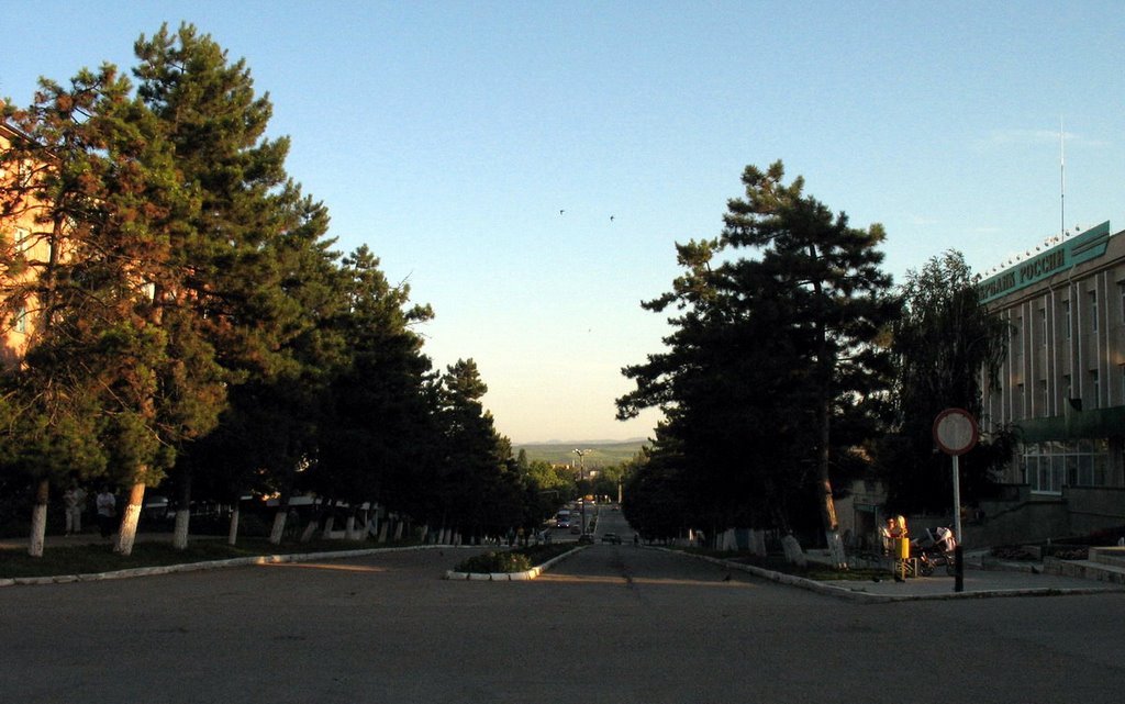 ул. Ленина летом