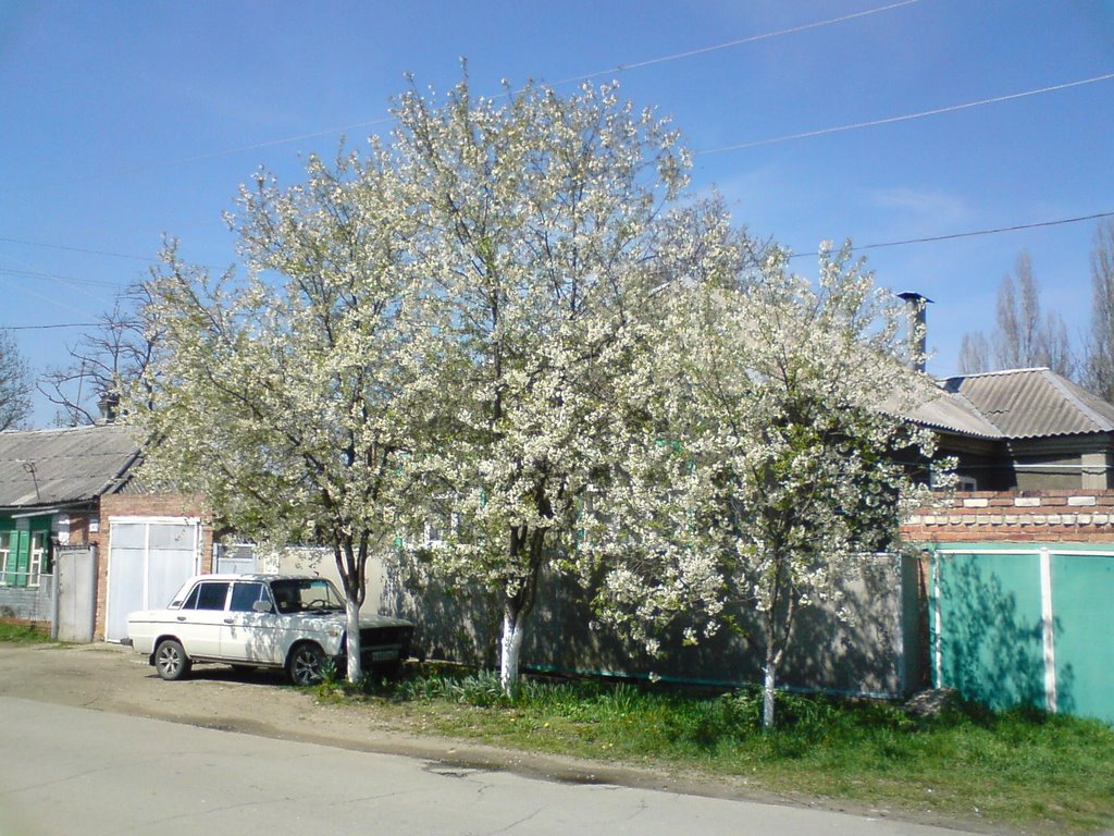 Весна