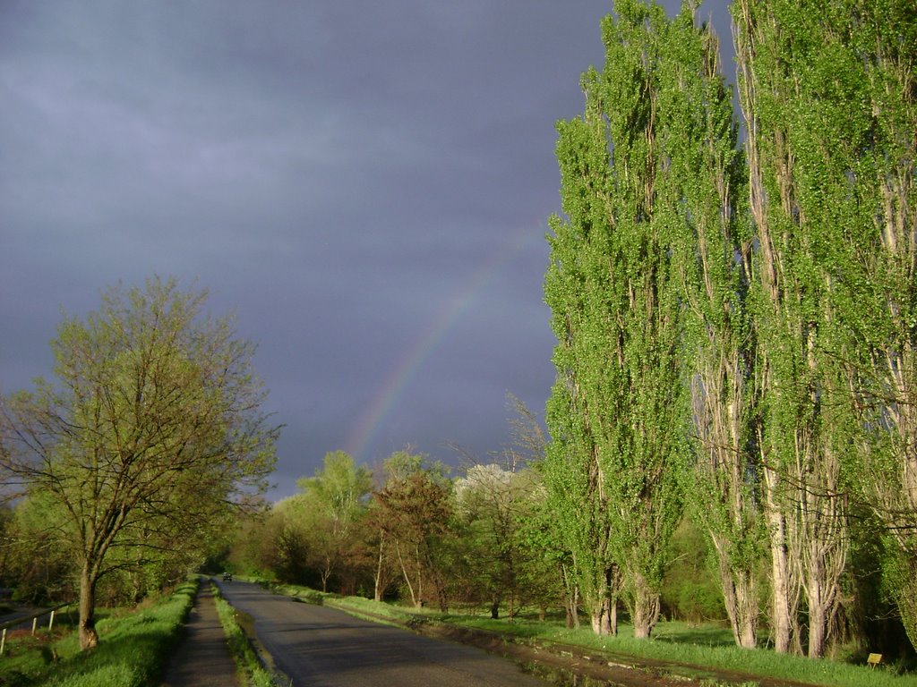 Радуга 03,05,09