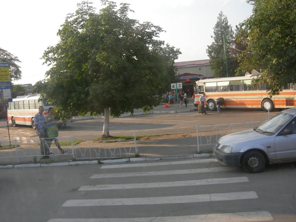 автовокзал(hol)
