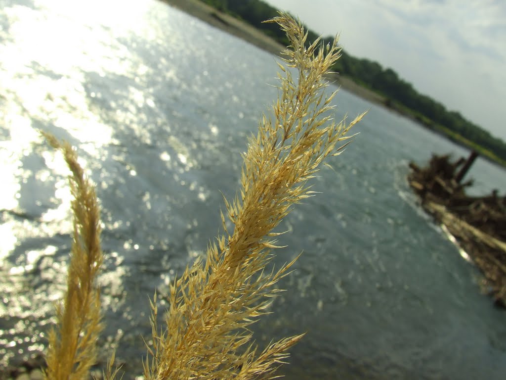 Labinsk