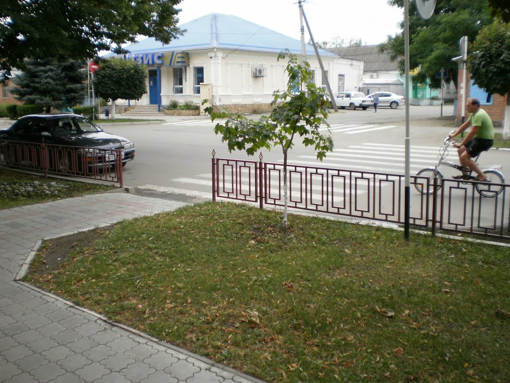 Фирма "Оазис"