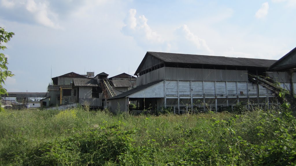 Элеватор