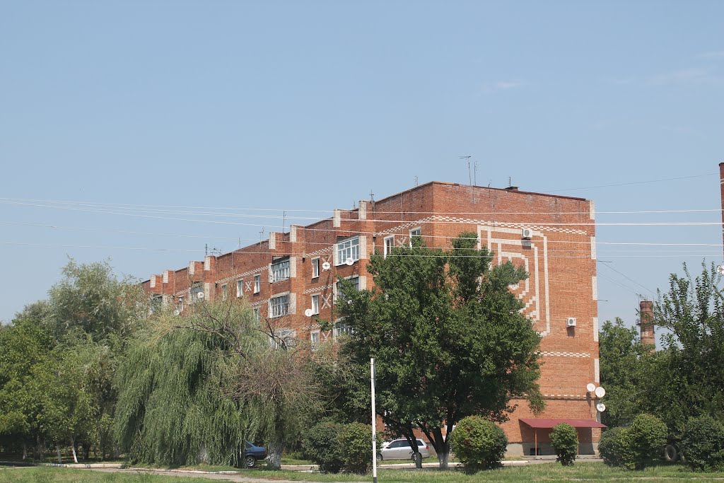 Quarter № 300. Квартал № 300.