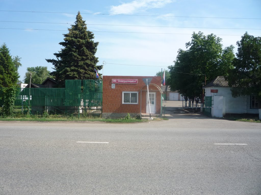 РАЙГАЗ