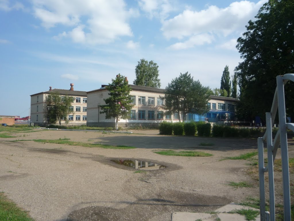 МОУ СОШ №12