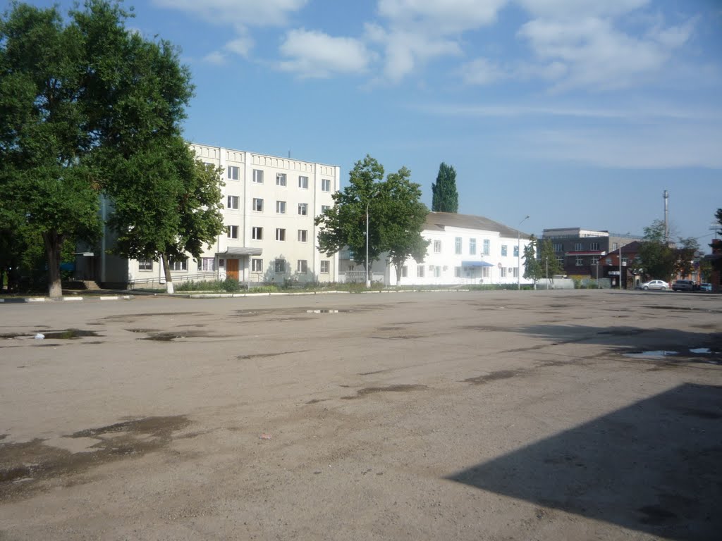 Стоматология
