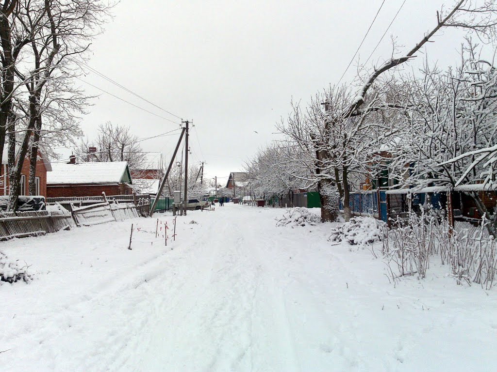дкубы - Кресьянская