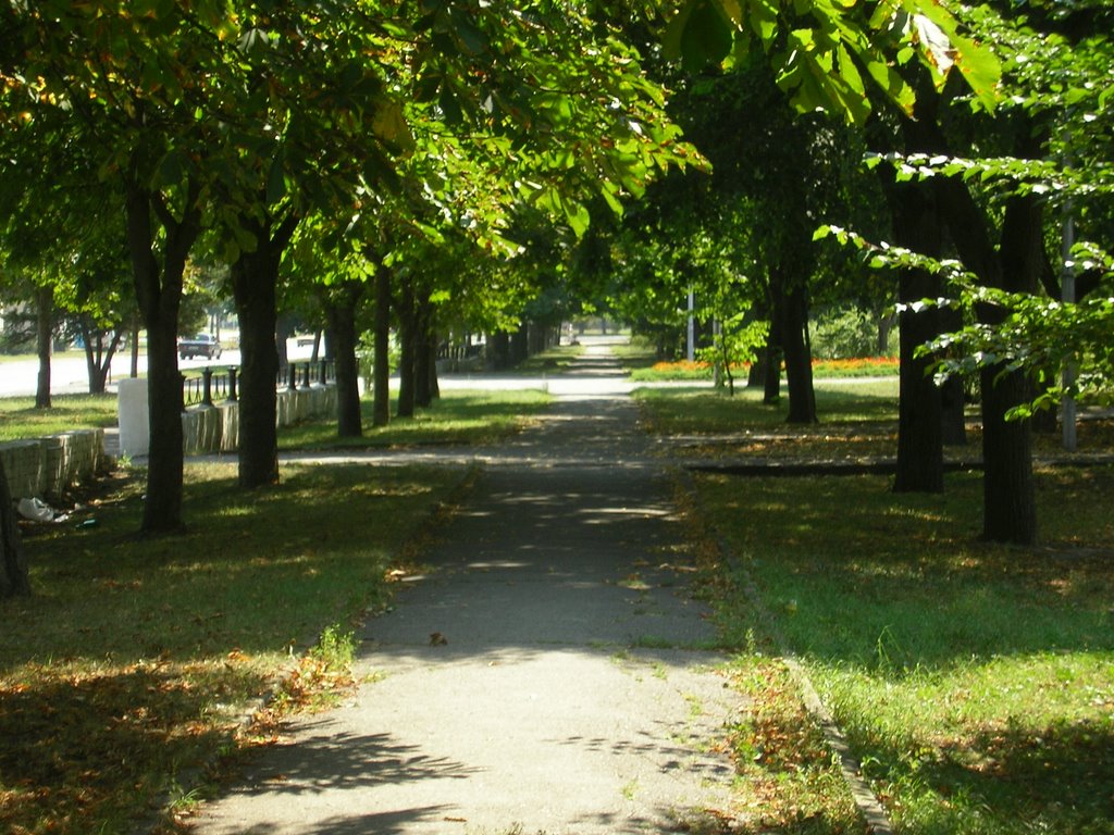 Pionerskaya str.