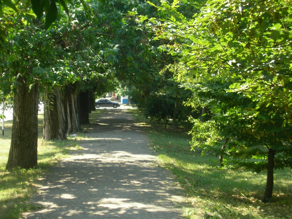 Pobedy str.