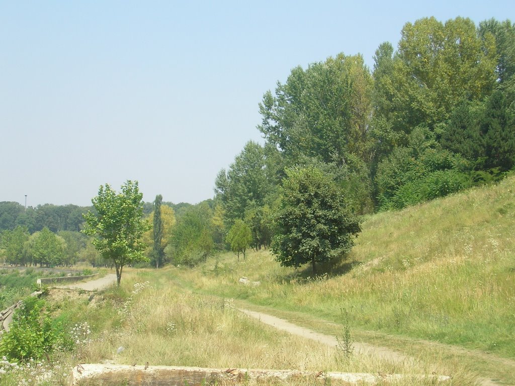 Quay after Flood