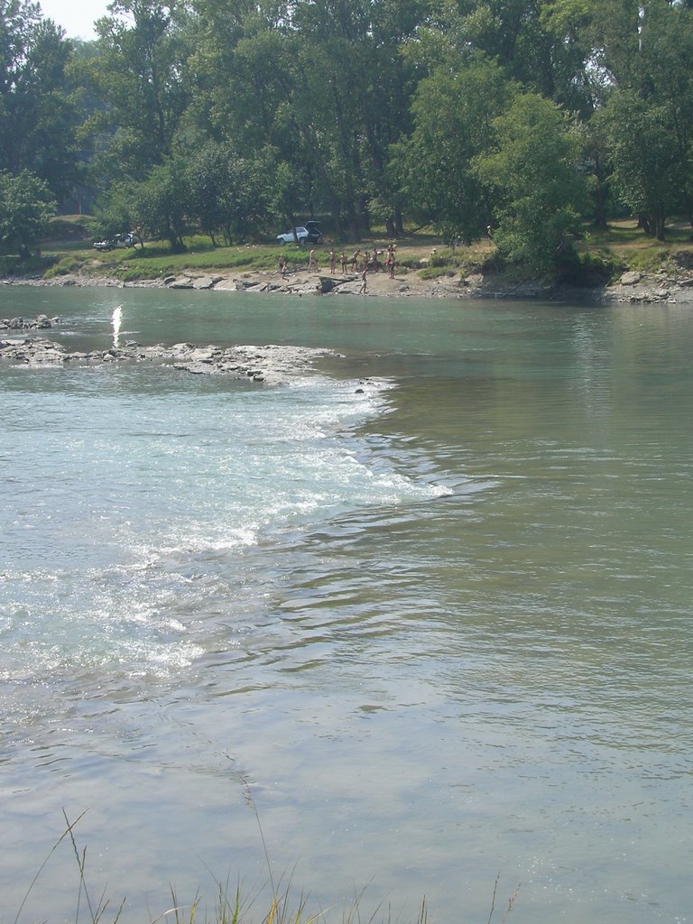 Rapids