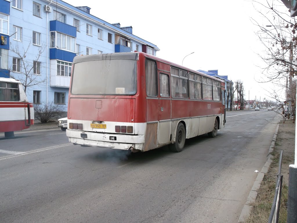 Ikarus 256