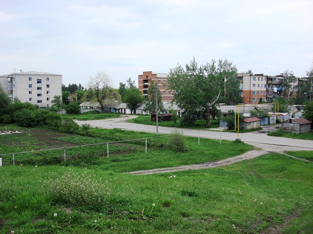 Вид с кургана на поселок.