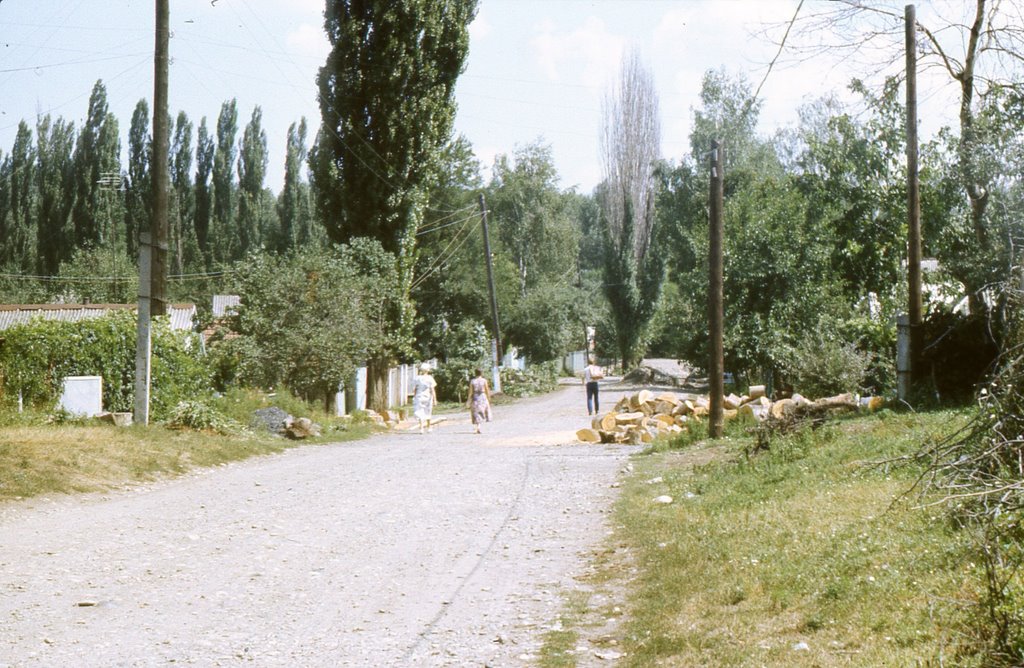 ул.Калинина.1990г.