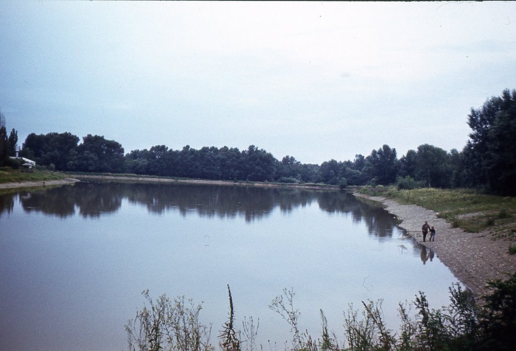 Пруд.1983г.