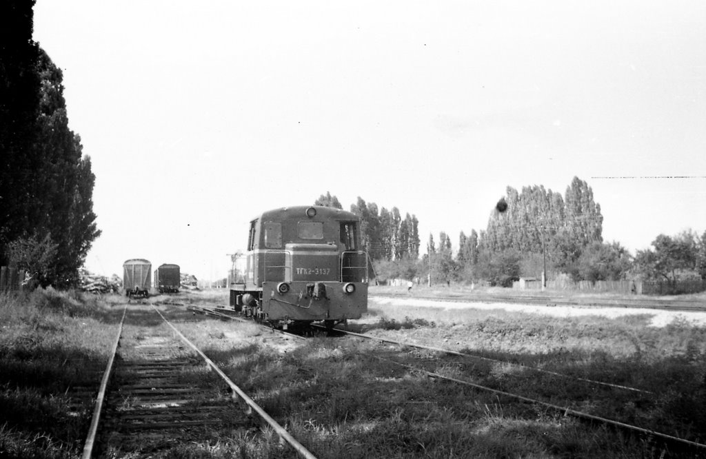Станция.1981г.