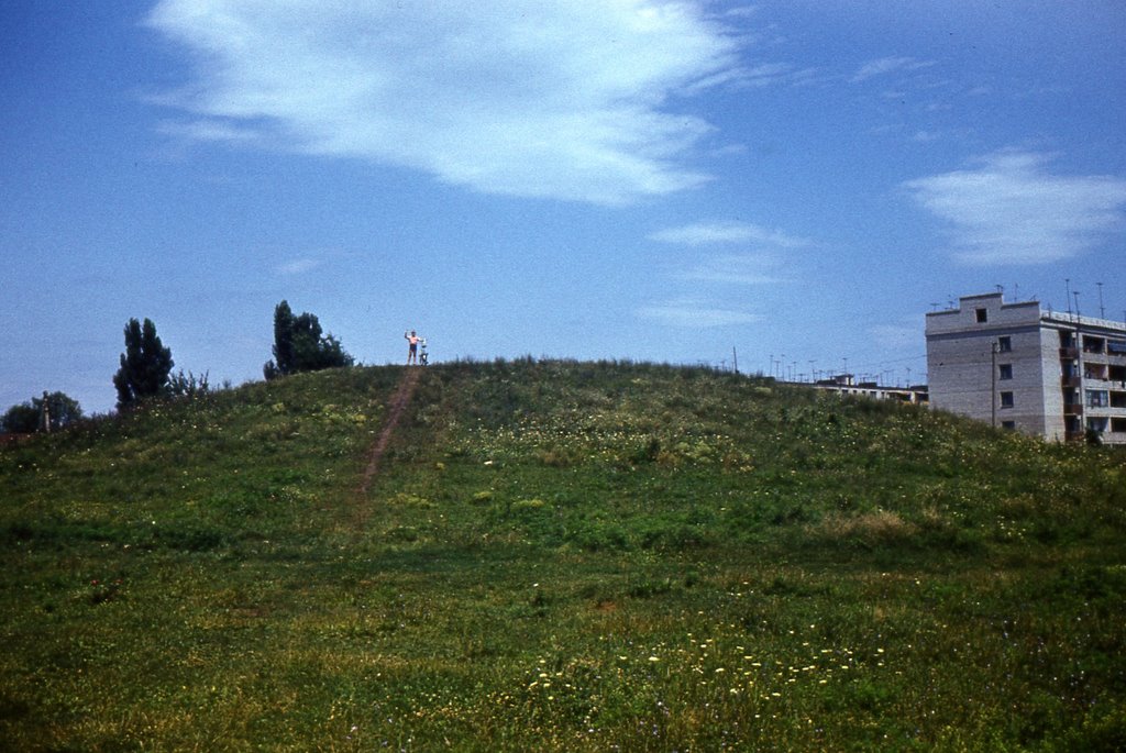 Курган.1983г.