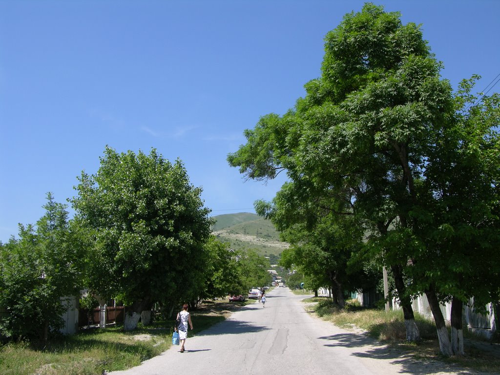 Ул. Пограничная (чуть ниже ул. Судостальская)