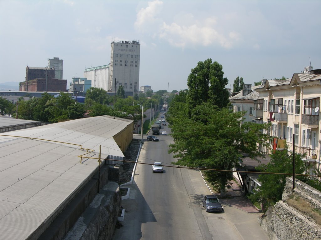 Вид на Стандарт с моста