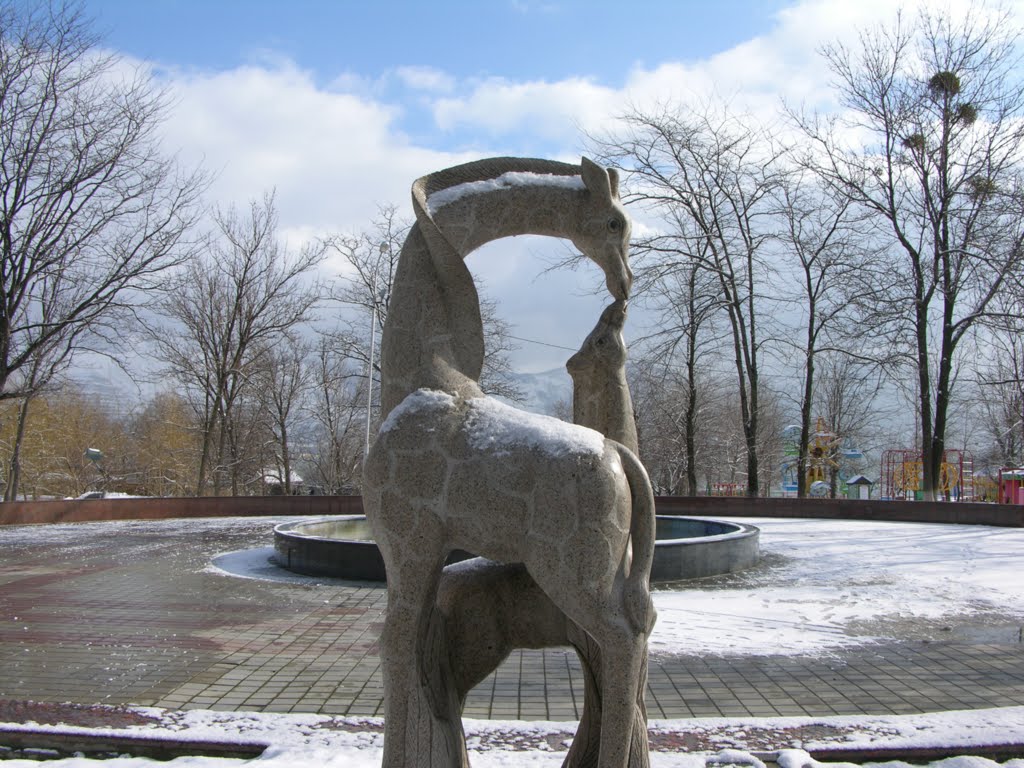 Giraffes / Жирафы