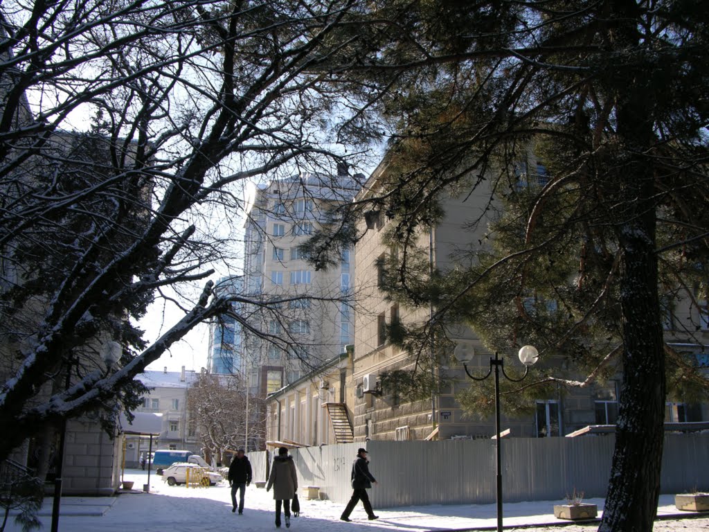 Morning / Утро