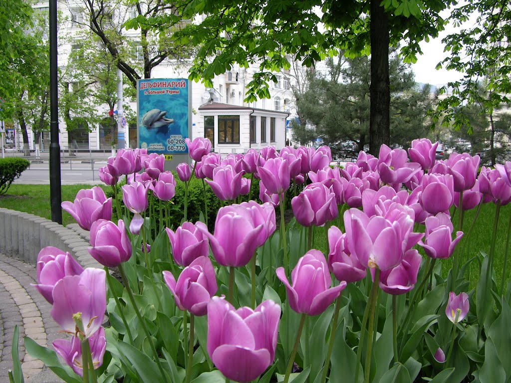 Flowers / Цветы