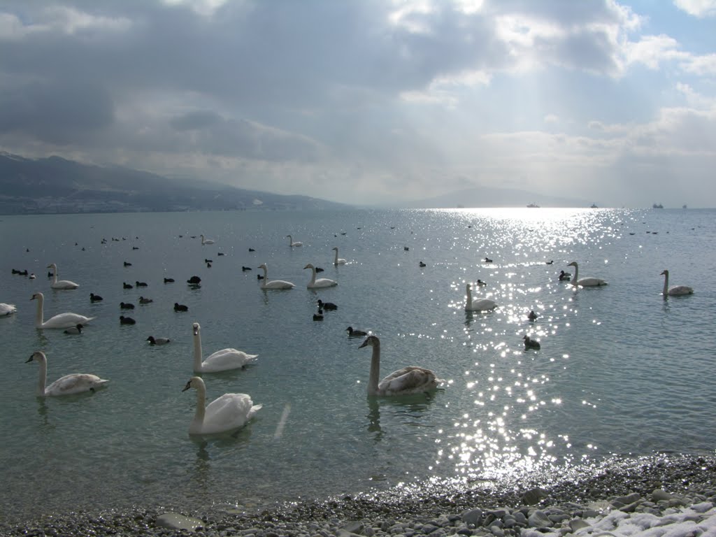 Morning on beach / Утро на пляже