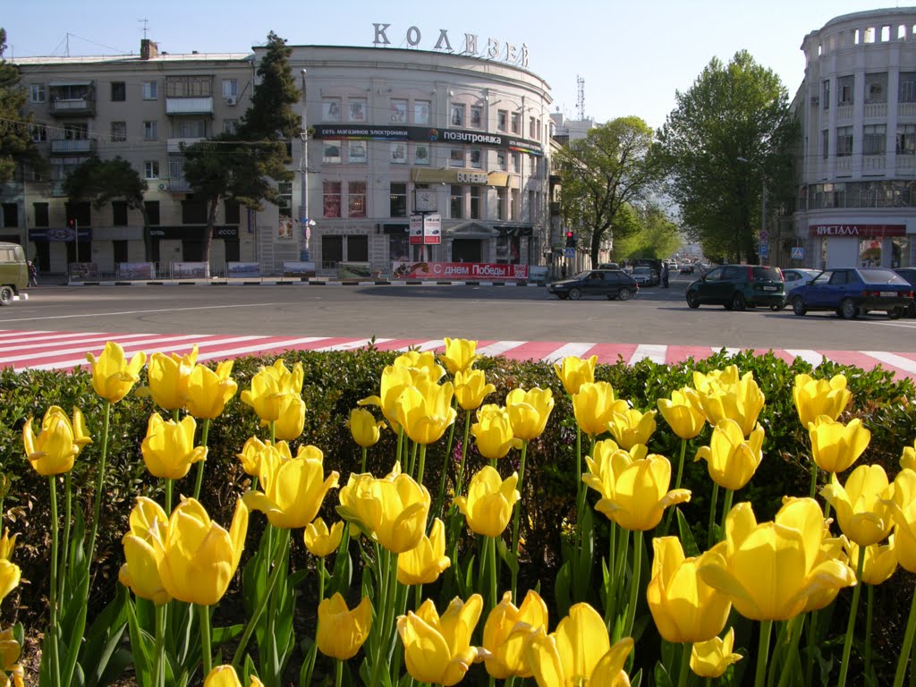 Flowers and city