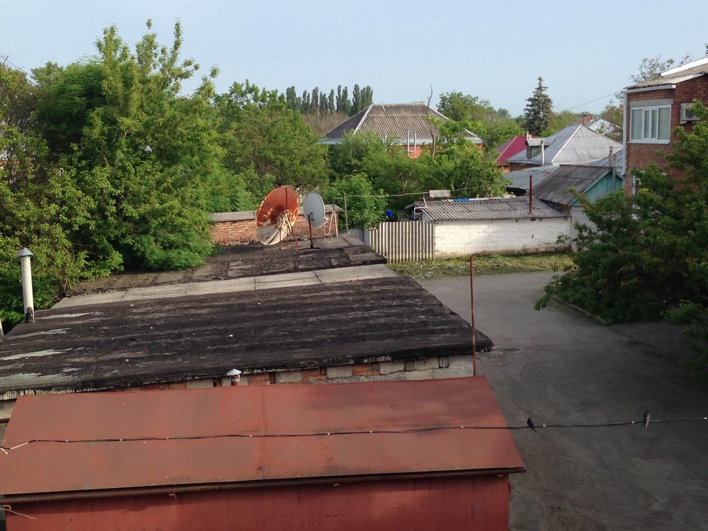 Двор