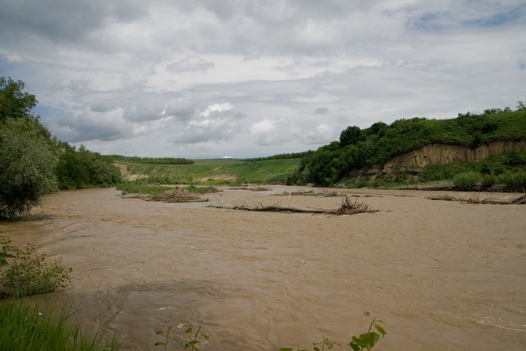 river Urup, Otradnaya, Krasnodarskiy Kray (Russia)