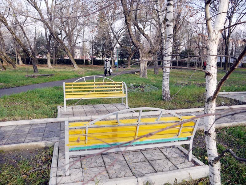 лавочки у аллеи