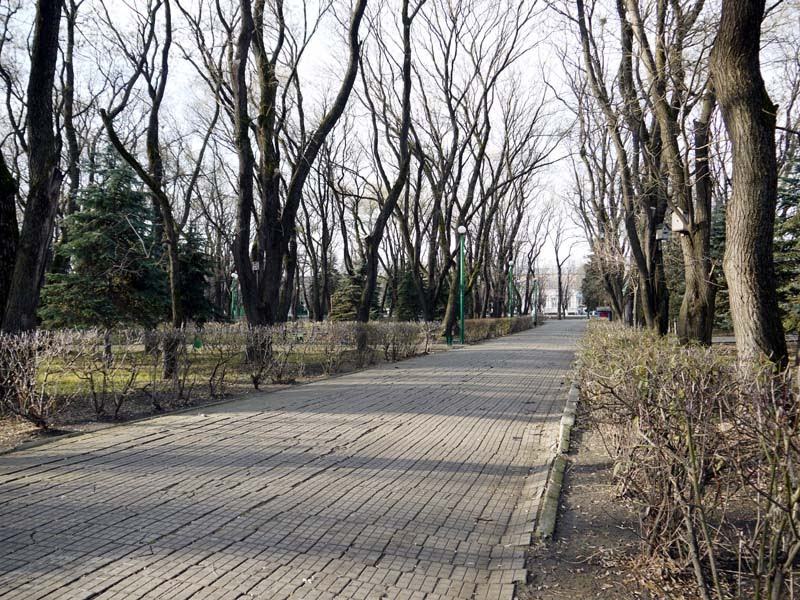 аллея
