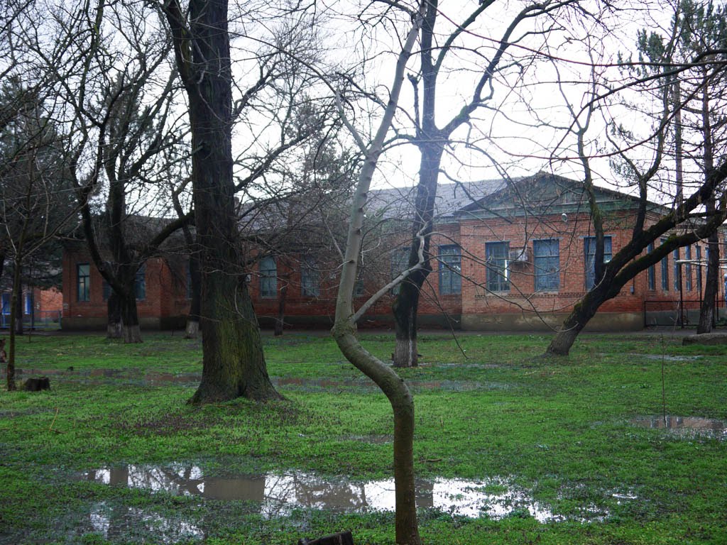 старая школа