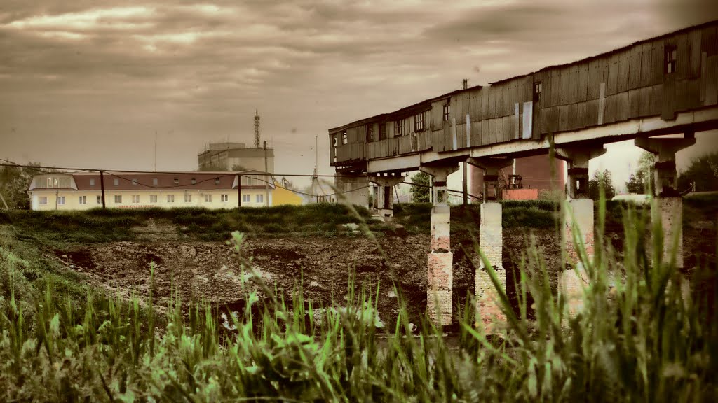 My Hotel, Pavlovskaya