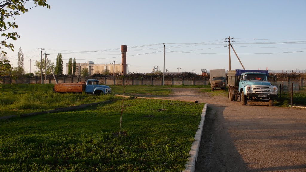 Trucks, Pavlovskaya