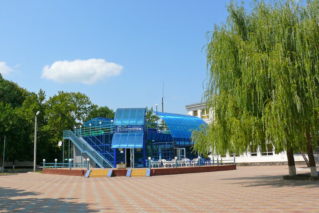 Краснодарский край, г. Приморско-Ахтарск, кафе "Аквариум". Krasnodar region, town of Primorsko-Akhtarsk, "Aquarium" cafe.